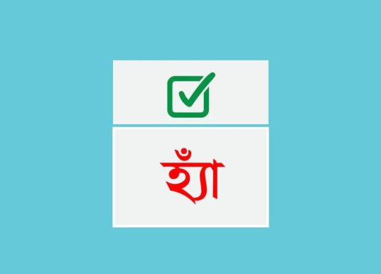 সারাদেশে গণভোটে হ্যা জিতেছে